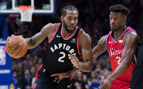 宠物疗愈效 宠物疗愈效