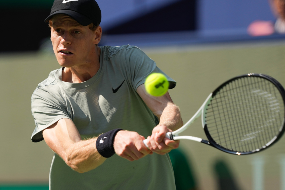 迷倍感振奋 迷倍感振奋