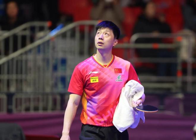 他们展现了 他们展现了